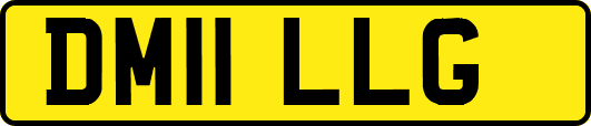DM11LLG