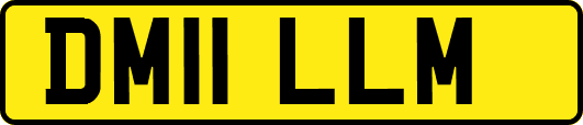 DM11LLM
