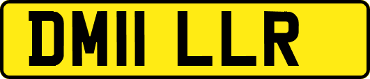 DM11LLR