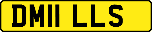 DM11LLS