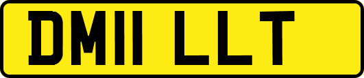 DM11LLT