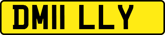 DM11LLY
