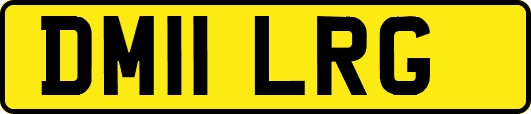 DM11LRG