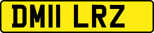 DM11LRZ
