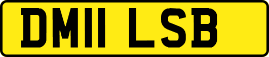 DM11LSB