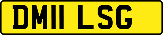 DM11LSG