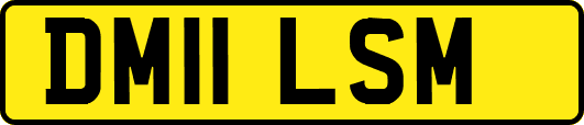 DM11LSM