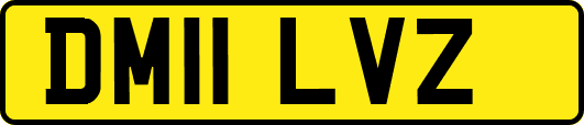 DM11LVZ