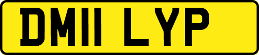 DM11LYP