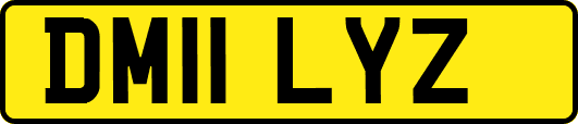 DM11LYZ