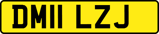 DM11LZJ