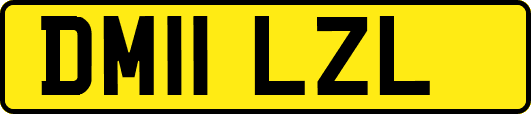 DM11LZL