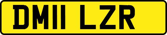 DM11LZR