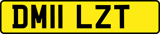 DM11LZT