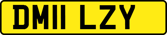 DM11LZY