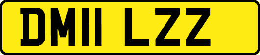 DM11LZZ