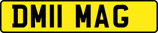 DM11MAG