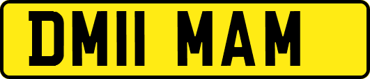 DM11MAM