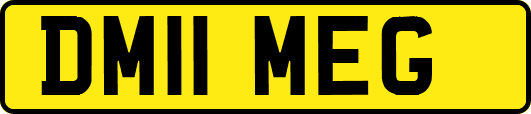 DM11MEG