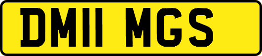 DM11MGS