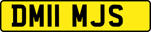 DM11MJS