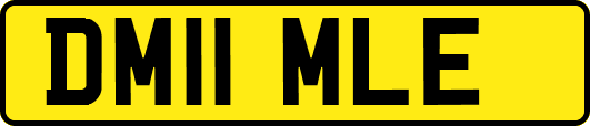 DM11MLE