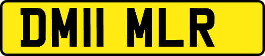 DM11MLR