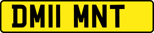 DM11MNT