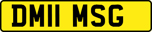 DM11MSG