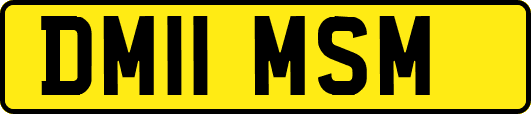 DM11MSM