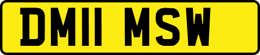 DM11MSW