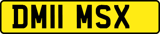 DM11MSX