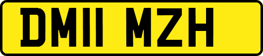 DM11MZH