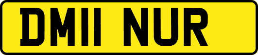DM11NUR