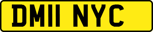 DM11NYC