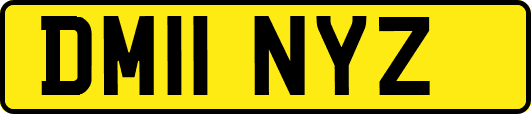 DM11NYZ