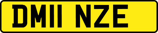 DM11NZE