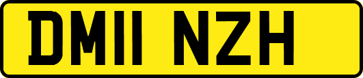 DM11NZH