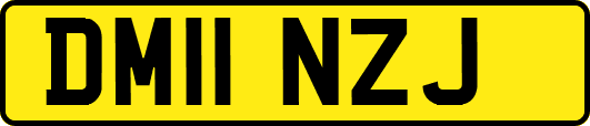 DM11NZJ