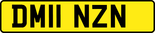 DM11NZN