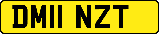 DM11NZT
