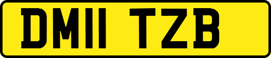 DM11TZB