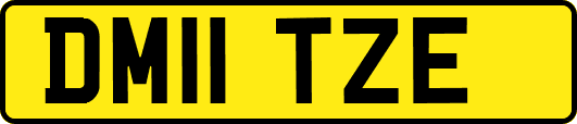 DM11TZE
