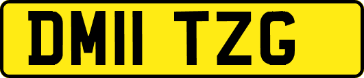 DM11TZG