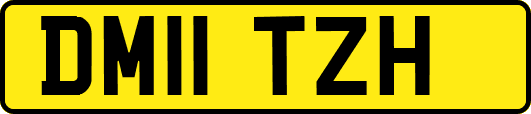 DM11TZH