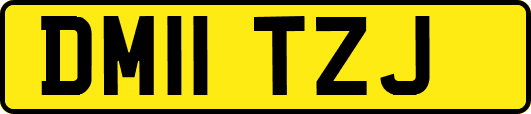 DM11TZJ