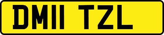 DM11TZL