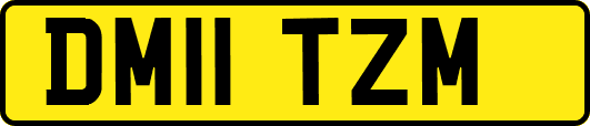 DM11TZM