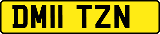 DM11TZN