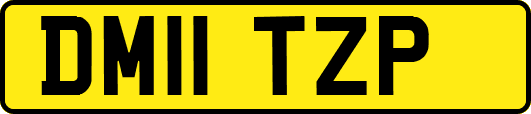DM11TZP